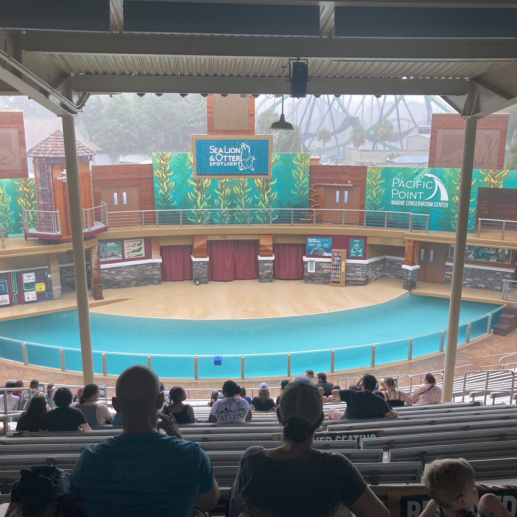 The One Can’t Miss Show at SeaWorld Orlando: Sea Lion and Otter Spotlight
