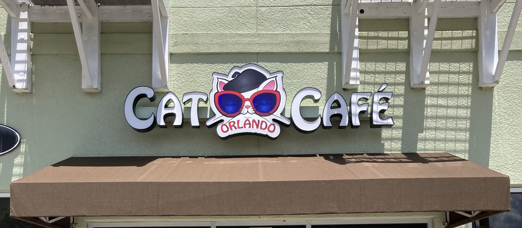 The Orlando Cat Cafe: Adorable Cats Paired with Delicious Drinks & Eats