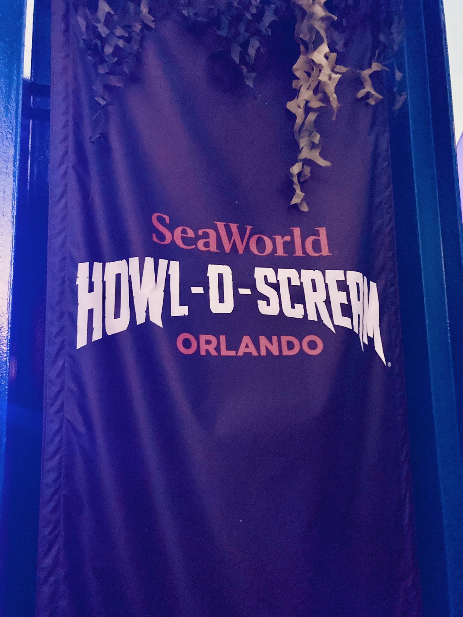SeaWorld Orlando’s Howl-O-Scream: A Frightfully Good Night