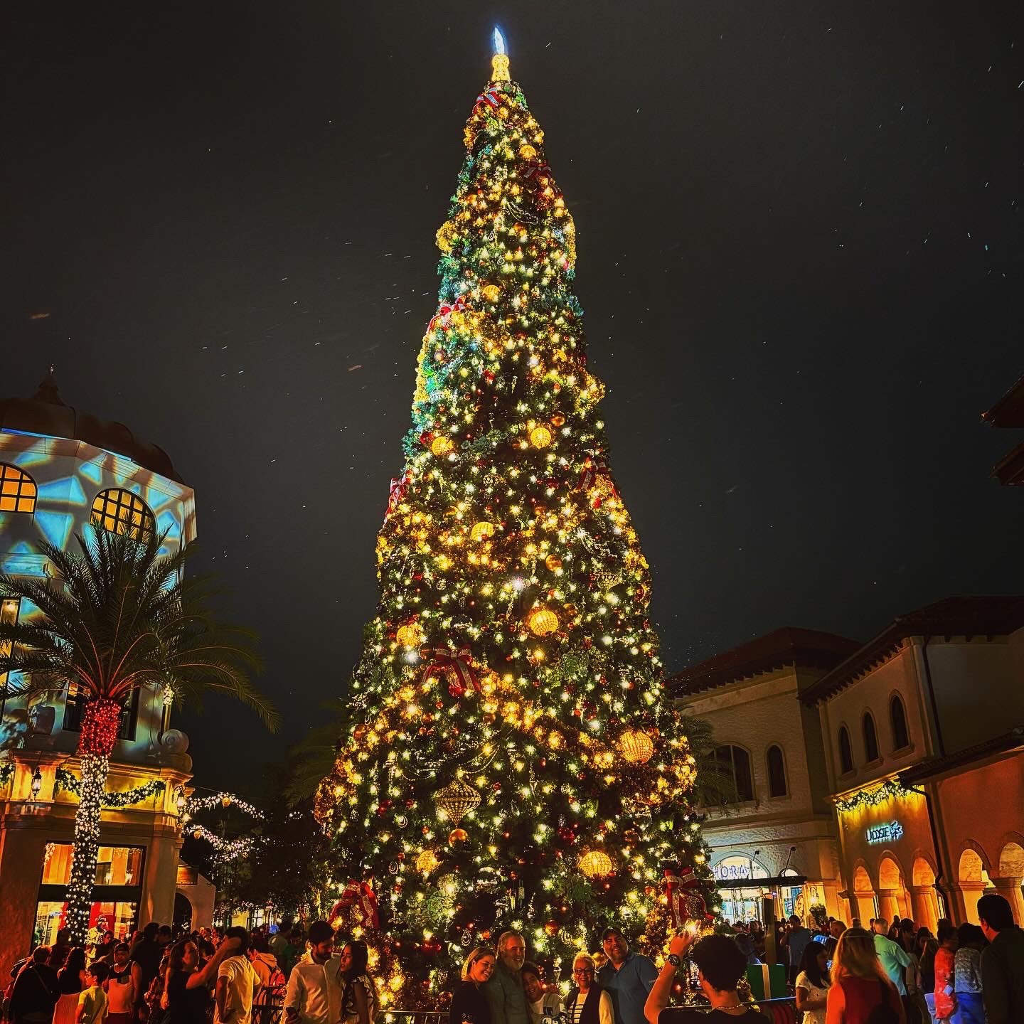 Disney Springs Christmas Tree Stroll: Beautiful Themed Christmas Trees to Explore