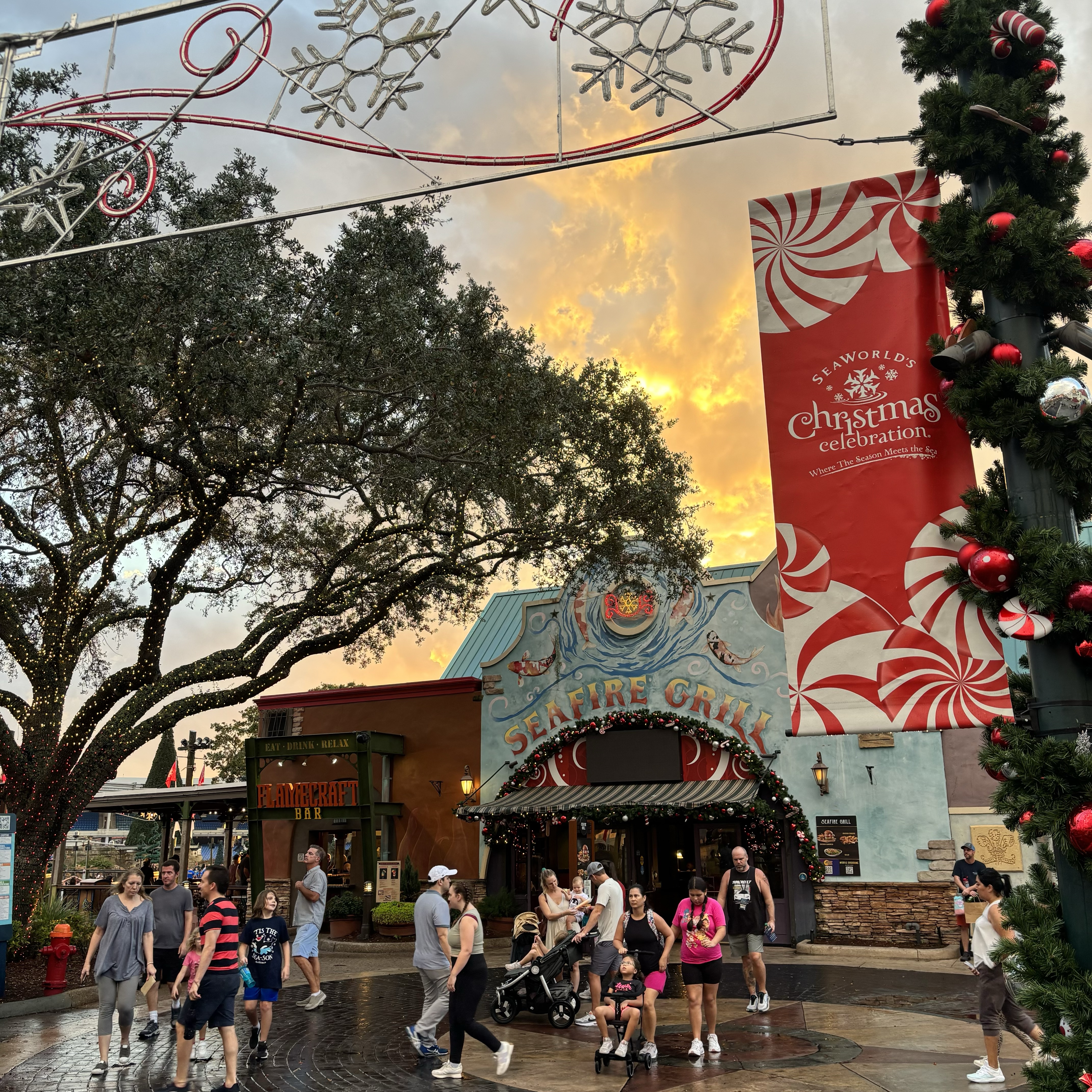 SeaWorld Orlando’s Christmas Celebration: Twinkling Lights, Phenomenal Entertainment, and Festivities Galore